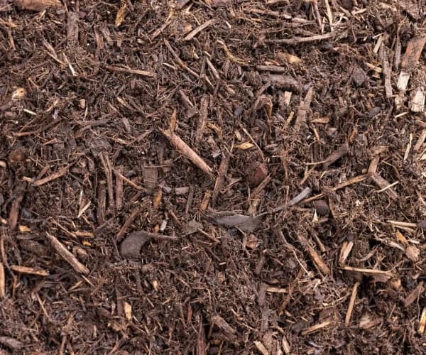 Eucy Mulch