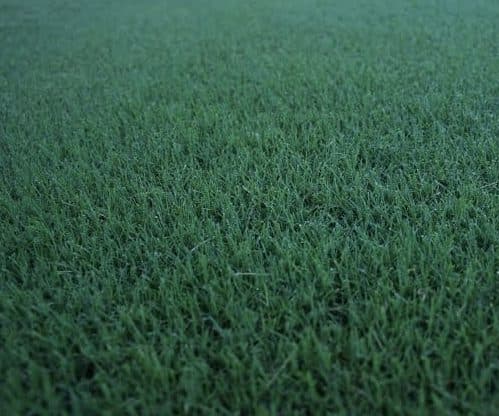 Agridark Turf